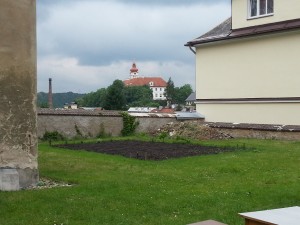 2014-05-24 12.32.25